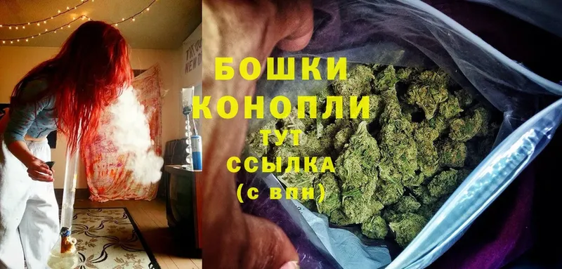 продажа наркотиков  Дивногорск  Бошки марихуана Ganja 